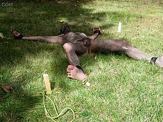 Nuisette007 tied naked outdoors facing up with fierce intensity