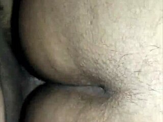 Curves Bounce in HD Action