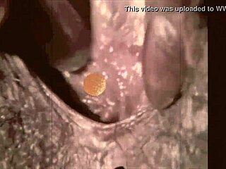 What’s in Vintage Closeups?