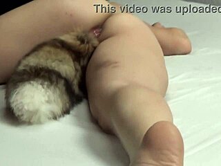 i'm shocked by pj daniels main 1