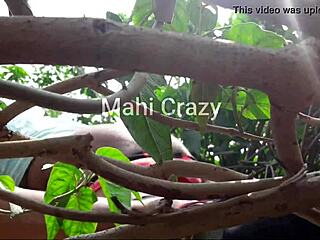 village auntie’s sunny garden play