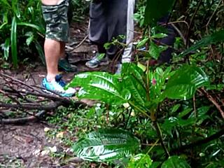 What’s with these guys banging in the forest?