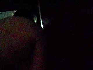 Gloryhole Cock Sucking At Secret Spot