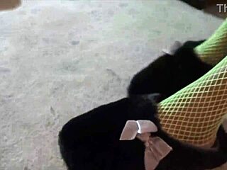 Bow to my green fishnet feet now
