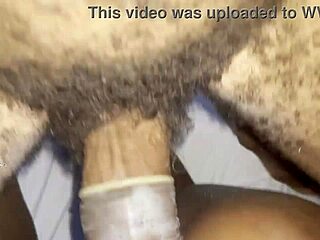 Petite babe’s pussy fucked in Florida