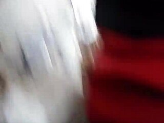 Outdoor Amateur Couple Fucks In Public Park