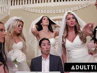 Married woman's sultry planner trap