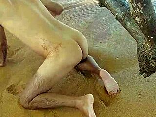 Latina Shemale Ladysilva Ignites Beachside Desire
