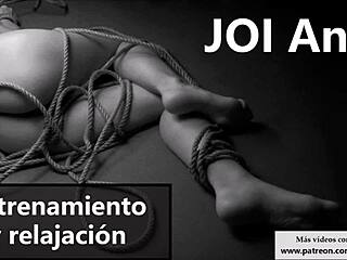 Ready for anal joi in spanish to train your butt?