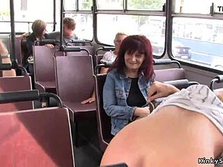 black beauty's intense transit ride
