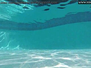 MINNIE'S POOL SOLO SHINES