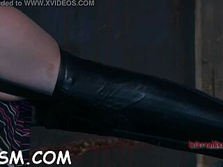 Slutty Babe's Slit Tormented in Hard Contest