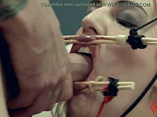 i trained alisha adams for rough face fucking