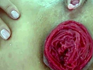 Destroyed Anal Prolapse in Extreme Close-Up Play