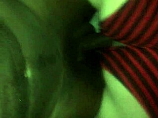 Bbw Rides Big Black Cock in Reverse Cowgirl Style