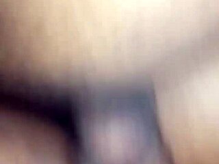 Brunette Amateur Pretinha Takes It Deep in Tight Backdoor Action. Her Moans Fill the Room.