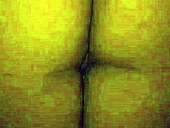 Curves Ignite My Wife's Bold Adventure
