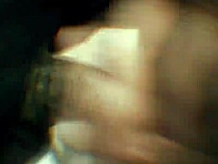 Another Round Of Studiofow Tribute Pmv