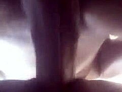 afroking - she love it when i give her from back i bang her hard