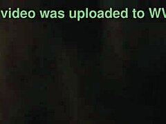 Homemade Blowjob With Swallow In USA Amateur Video