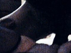 use my hole in this realistic point of view scene