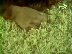 I'm too horny to care about getting caught