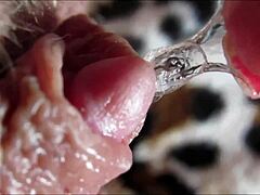 i'm shaking so hard from this intense big clit orgasm up close... oh god