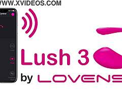 Some Girls Gather For A Fun Webcam Session