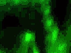 Hey, Want to See My Banging Ass and Juicy Pussy in Action?