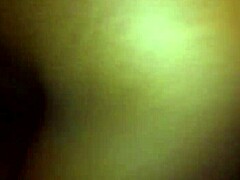 The big ilee stands out as a fascinating subject worth exploring in greater detail today