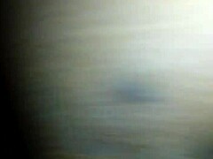 The big ilee stands out as a fascinating subject worth exploring in greater detail today