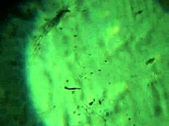 Bold Release of More Cum to Reach and Impregnate You