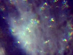 Bold Release of More Cum to Reach and Impregnate You