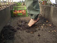Squashing Tomatoes Barefoot in the Dirt for Relaxing ASMR Experience