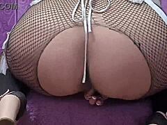 hey, you wanna watch me masturbate doggy style in these sexy fishnet tights?