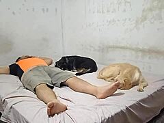 Bailarina Peruvian Small Tits Latina Fucks Wet Pussy Doggystyle on Cousin’s Cock