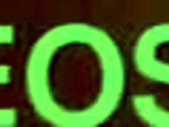 greedy oral play contrasts with abundant saliva on a large thick member