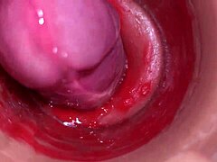 close-up pov creampie action