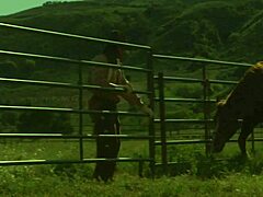 brooke ballentyne still has her riding chaps on as she gets creampied in doggystyle anal with monster cock facial and riding