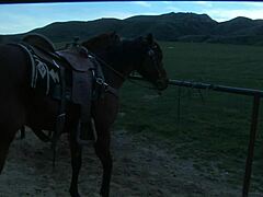 brooke ballentyne still has her riding chaps on as she gets creampied in doggystyle anal with monster cock facial and riding