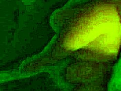 Oh My God! Calling My Cuckold Hubby While This Guy Pounds My Big Ass Latina Wife Body!