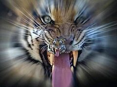 What A Massive Ass Riding My Dick - Full Version Available On Red