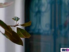 busty petite italian lesbian cheats with strapon mistress tribbing