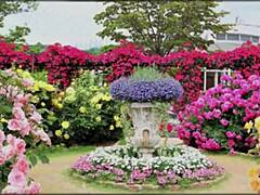 in this bangla sex story, a cute wife shares romantic fucking with her friend in part 2