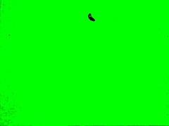 vintage hairy beavers nude in nature retro wild