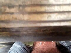 curious fence banging caught on hidden cam