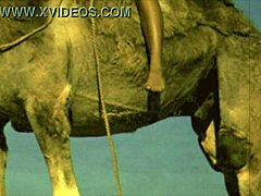 Vintage Hairy Pussy Bent Over For Doggy Beast Action!