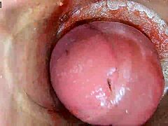 Camera inside oiled tight pussy films huge cock creampie close-up asmr