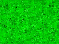 what's my fat wife up to with that stranger?