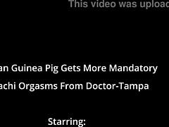 human guinea pig phoenix rose takes extra hitachi orgasms from tampa doctor